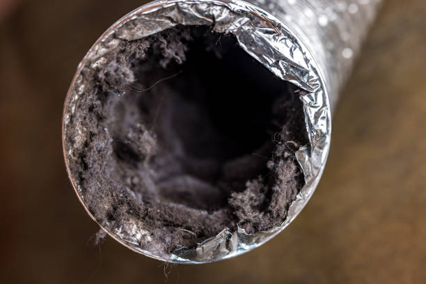 Best Ductwork Cleaning Services  in Overton, TX